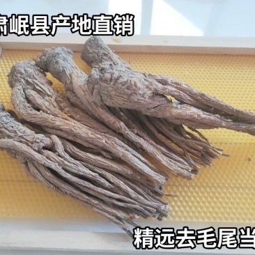 当归岷县产地直供去毛尾精选优质成品当归下单即可发货