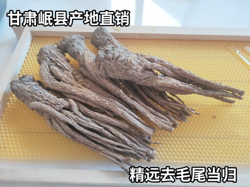 当归岷县产地直供去毛尾精选优质成品当归下单即可发货