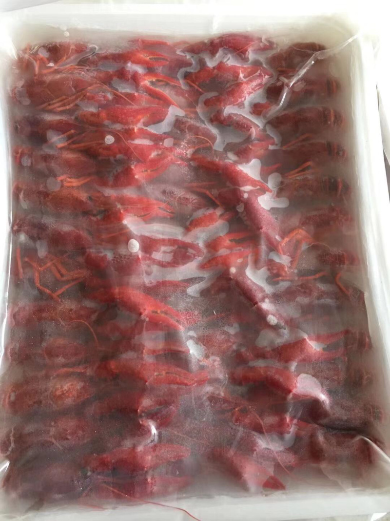 青水虾虾尾