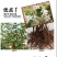 【包对版包结果】盆栽苹果树苗矮化苹果苗庭院阳台盆栽果树苗
