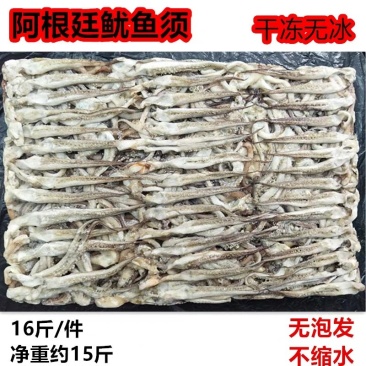 冷冻鱿鱼须阿根廷二本足大鱿鱼头鱿鱼足鱿鱼爪串16斤海鲜