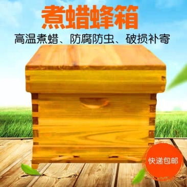 蜜蜂蜂箱全套养蜂工具专用养蜂箱包邮煮蜡杉木中蜂标准十框蜂