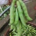 大量供应狗仔豆干农家自晒无添加不打农药猫爪豆手工天然日晒