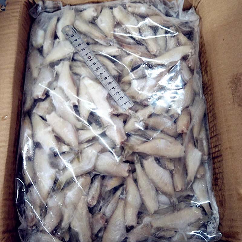 冷冻扒皮鱼小马面鱼剥皮鱼小耗儿鱼毛重包冰8斤/箱包邮