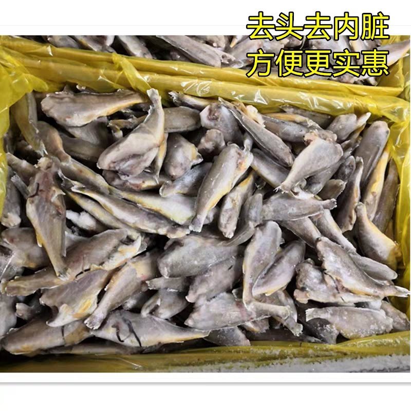 舟山去头小黄鱼新鲜冷冻黄花鱼薄冰毛重15斤海鲜油炸烧烤