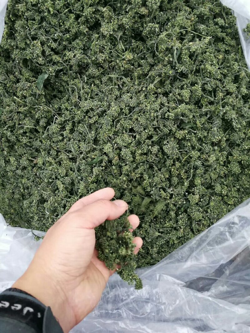 长白山六年人参花西洋参花新鲜采摘自然晾晒产地包邮