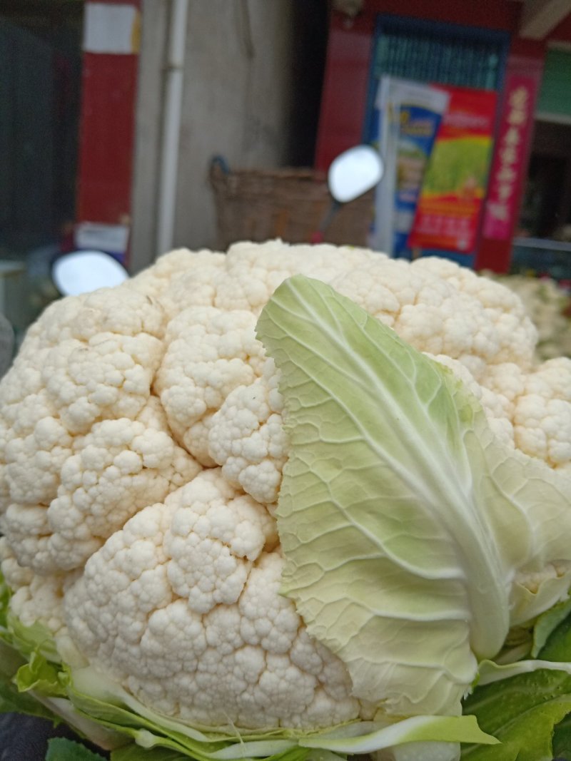 【陕西汉中菜花】乳白紧花产地直供商超加工保正质量全国发货