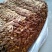 2025年广昌茶树菇5号3号菇家乡特产10斤起一件包邮