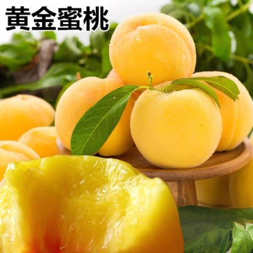 黄金蜜桃苗品种齐全基地直销甜度高耐储存