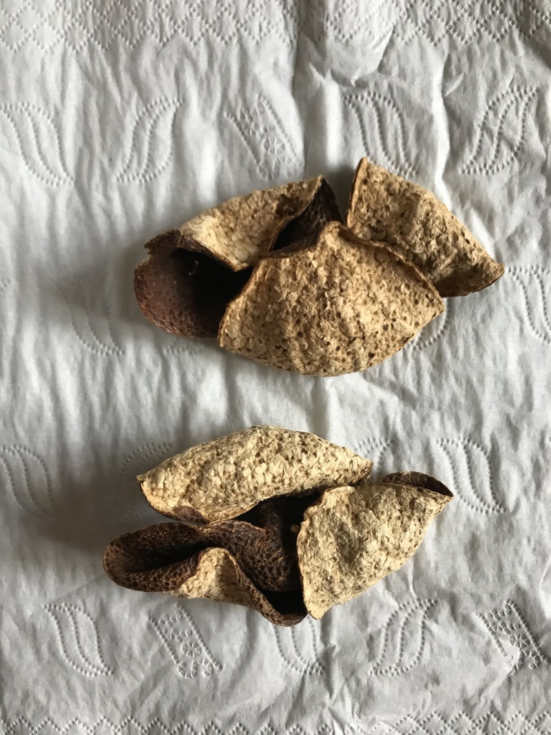 包邮10年陈皮拾年陈化正宗新会核心产区天马村陈皮陈香润喉