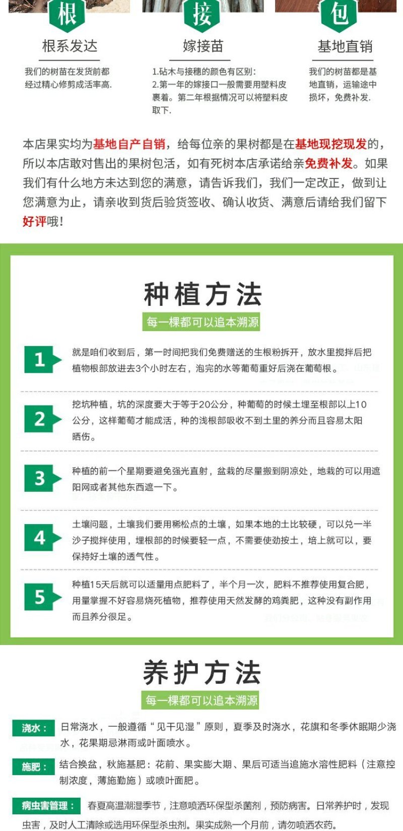 红心猕猴桃苗南方北方种植自花授粉软枣猕猴桃苗嫁接苗当年结