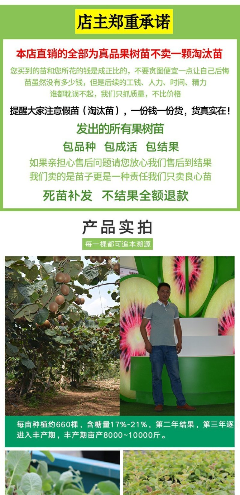 红心猕猴桃苗南方北方种植自花授粉软枣猕猴桃苗嫁接苗当年结