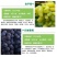 当年结果夏黑葡萄树苗庭院爬藤果树苗盆栽地栽苗南方北方种植
