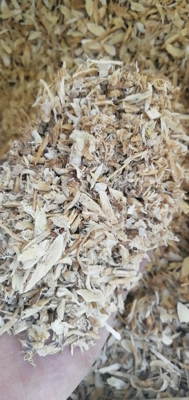 黄芪下脚料沫子粉投料发专线运费自付
