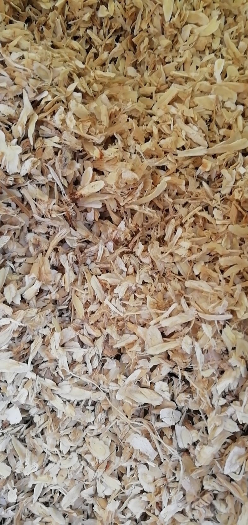 黄芪下脚料沫子粉投料发专线运费自付