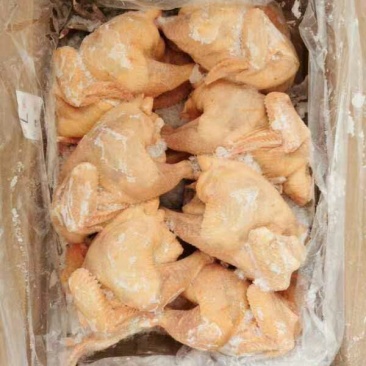 三黄鸡