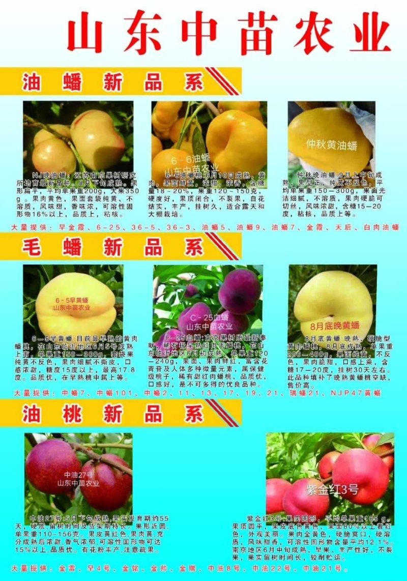 中苗农业科技有限公司供优良品种