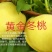 中苗农业科技有限公司供优良品种