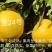 中苗农业科技有限公司供优良品种