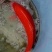 【推荐】红鲤鱼苗金丝鯉魚/兴国红鲤禾花鲤鲤鱼苗全国包邮