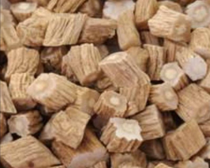 甘肃名当，党参苗，品质纯真，苗整齐，发芽率高，量大从优。