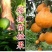 不知火柑桔苗又名丑八怪正宗嫁接苗当年结果产量高包邮
