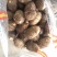 精品芋头大量现货支持全国发货【坏烂包赔】