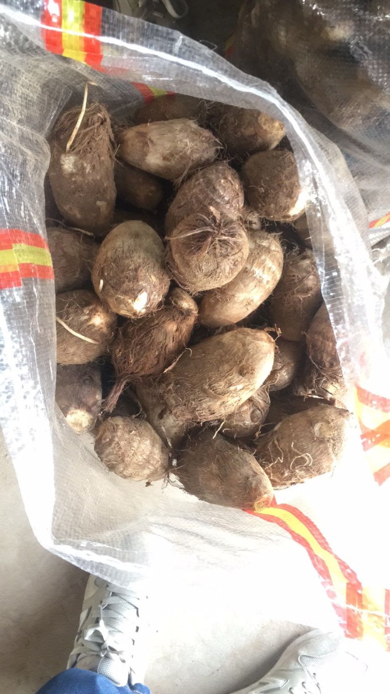 精品芋头大量现货支持全国发货【坏烂包赔】