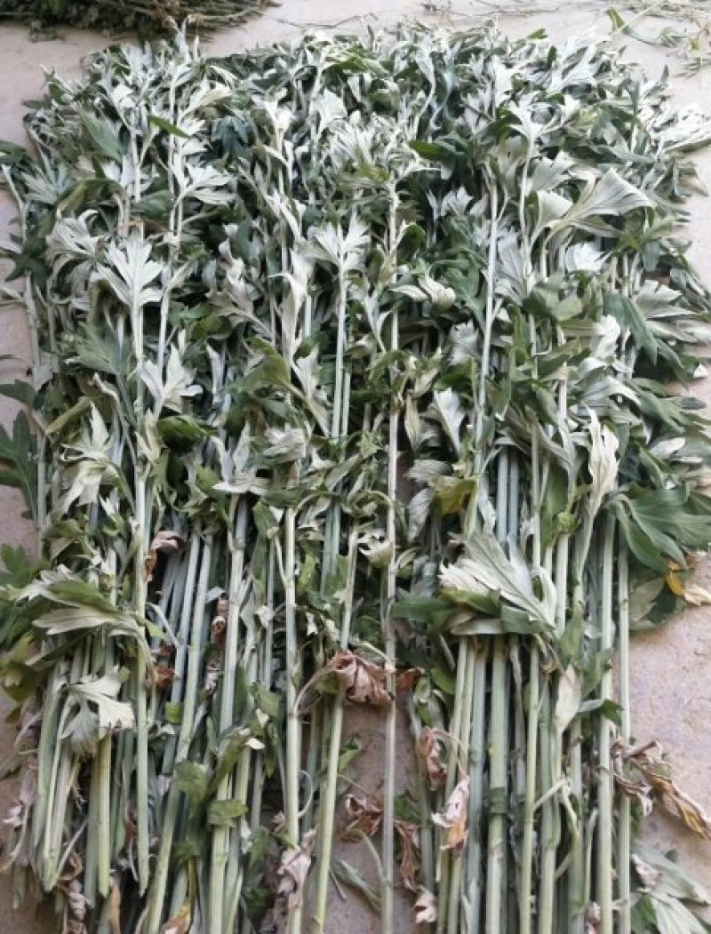 陈年艾草泡脚泡澡月子包