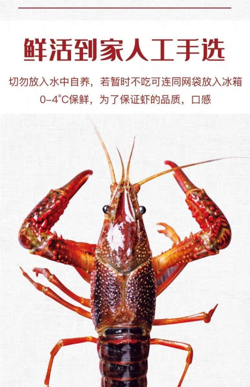 盱眙淡水小龙虾，下单捕捞