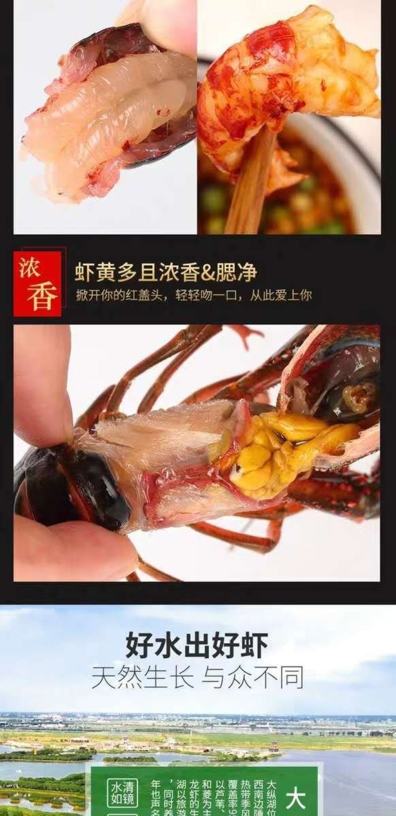 盱眙淡水小龙虾，下单捕捞