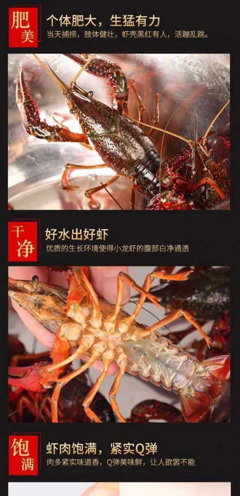 盱眙淡水小龙虾，下单捕捞