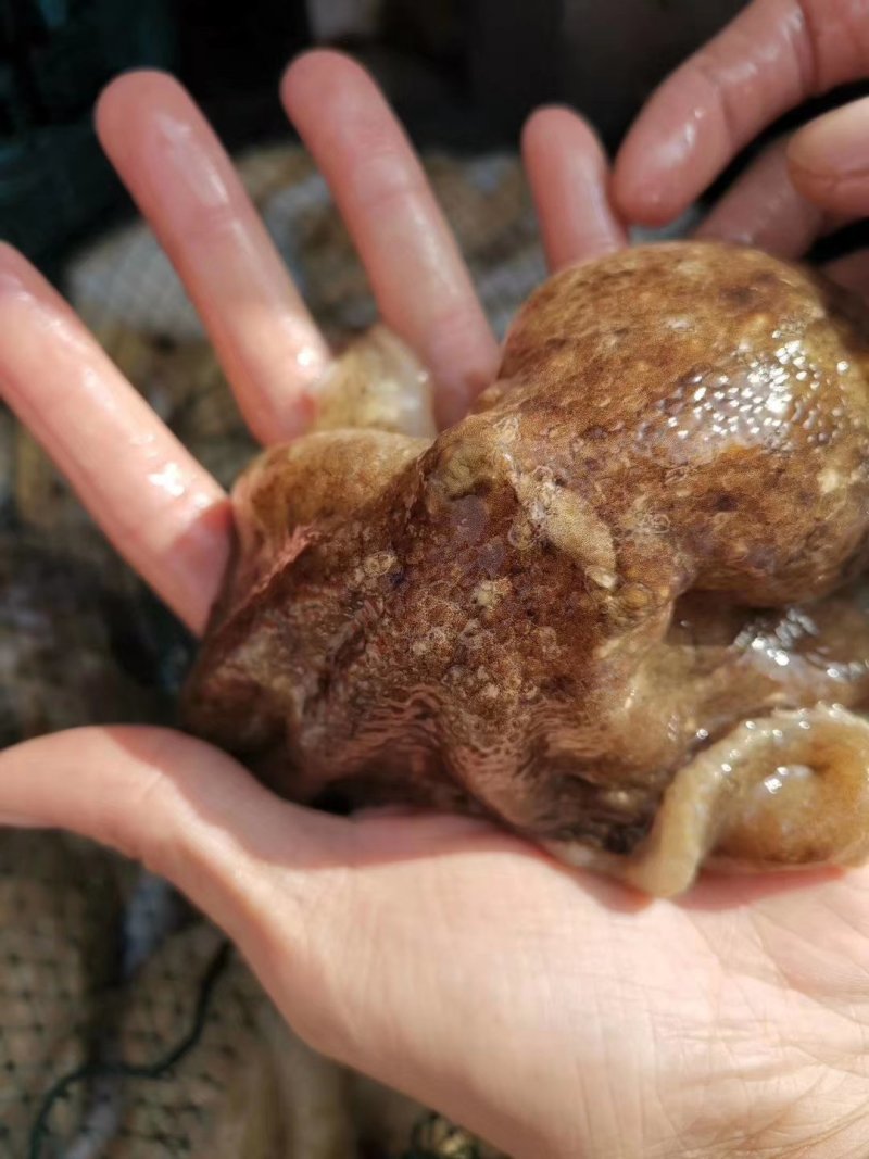 水产