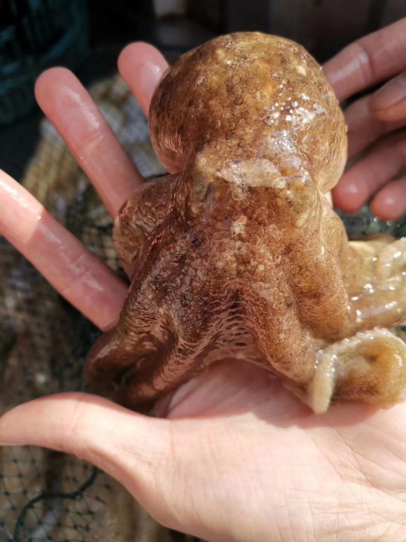 水产