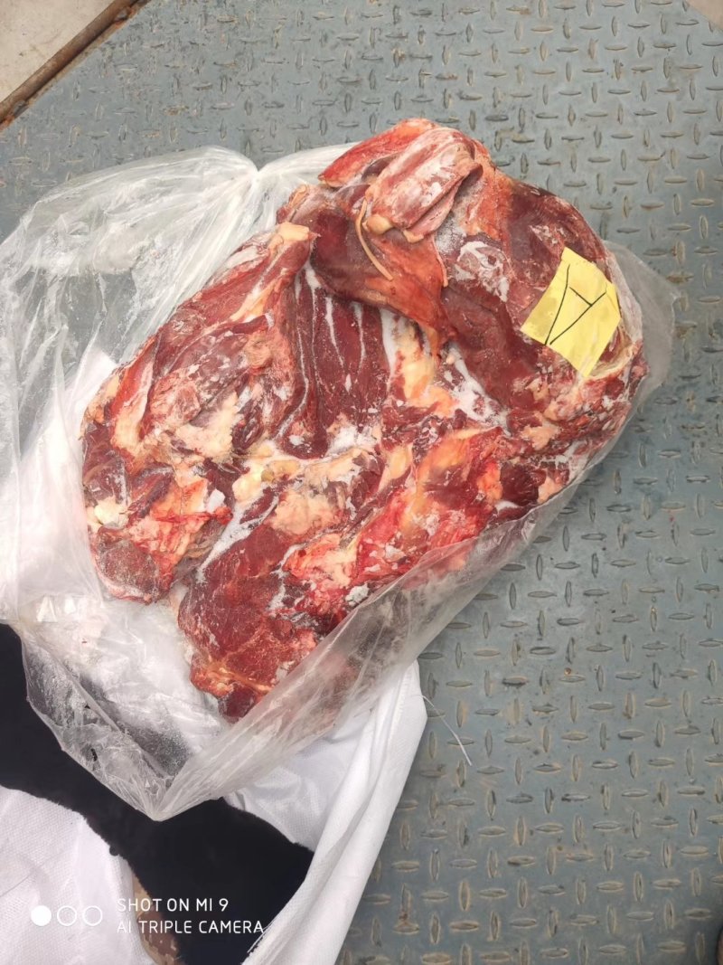 马肉新鲜马后腿肉不打水不带皮质量保证一手货源。