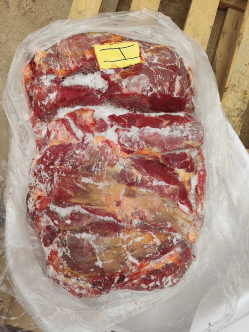 马肉新鲜马后腿肉不打水不带皮质量保证一手货源。