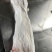 热卖】本公司常年供应长毛兔，肉兔皮张，量大优惠物美价廉