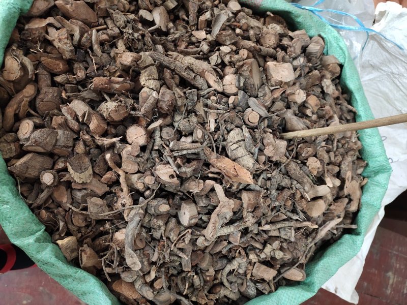 野生黑老虎阴根切段货