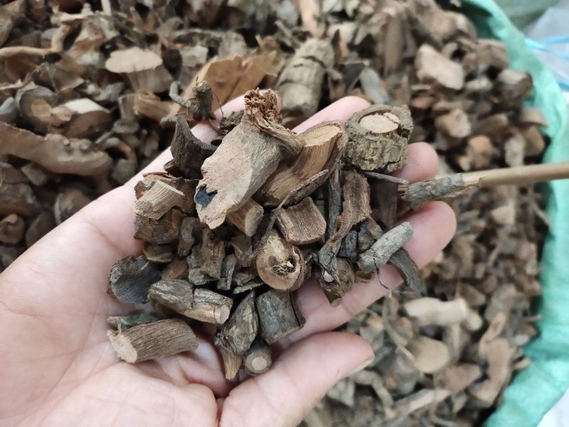 野生黑老虎阴根切段货