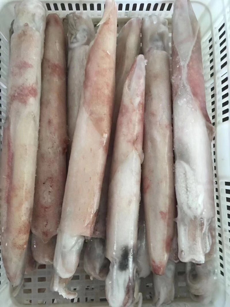 手钓鱿鱼，肉质柔细腻，口感酥脆甜爽，鲜活速冻