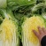 新野黄心大白菜大量供应价格便宜，新鲜采摘保证质量