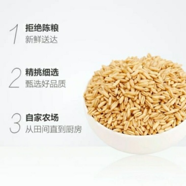 张家口玉珠燕麦米食品有限公司