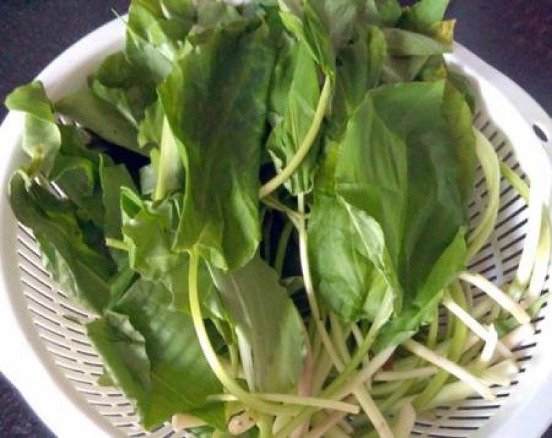 鹿耳韭山葱野菜四月份80吨左右可供应需要的提前签单