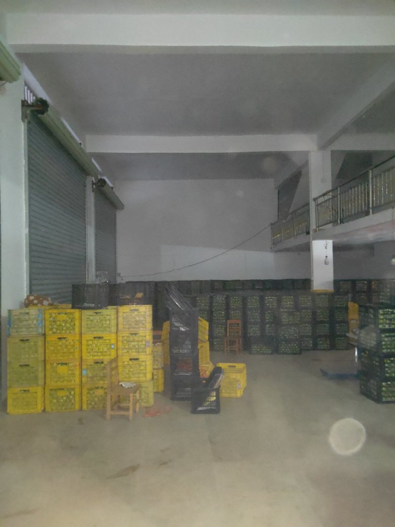 广西贵港市平南县产地蜜丝枣