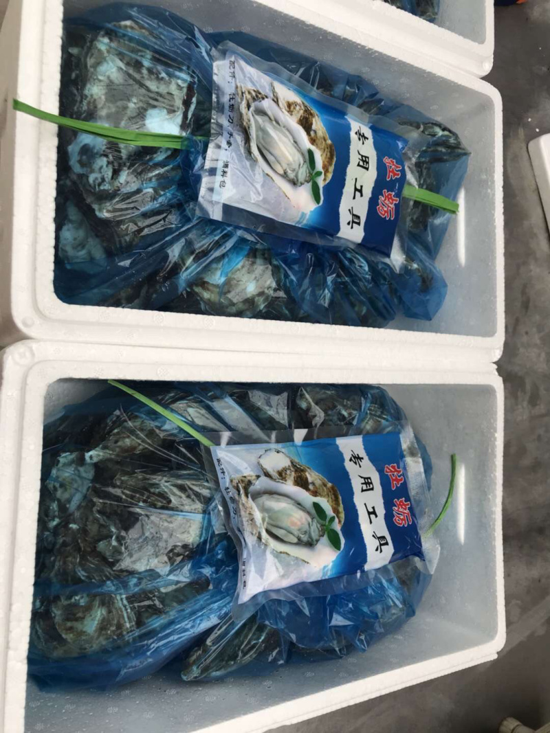 乳山生蚝全国批发零售