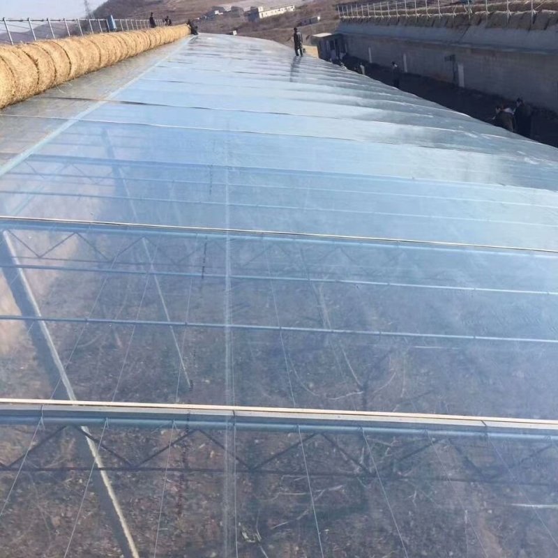 大棚膜批发厂家直销新型材料耐用价低种植大棚花卉大棚