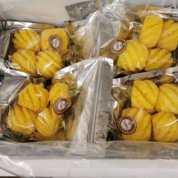 削皮小菠萝甜脆工厂直发有优势整车零担可发各地