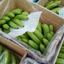 常年供应云南三把好香蕉，保质保量，不黑心不硬心