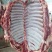驴肉鲜驴肉活驴现杀现宰鲜驴肉保持驴肉新鲜批发