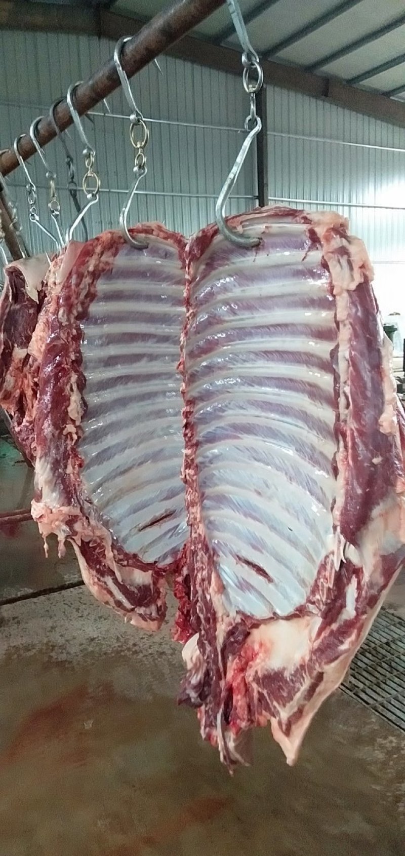 驴肉鲜驴肉活驴现杀现宰鲜驴肉保持驴肉新鲜批发